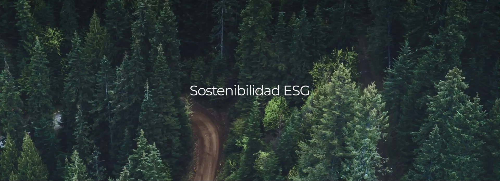 Sostenibilidad