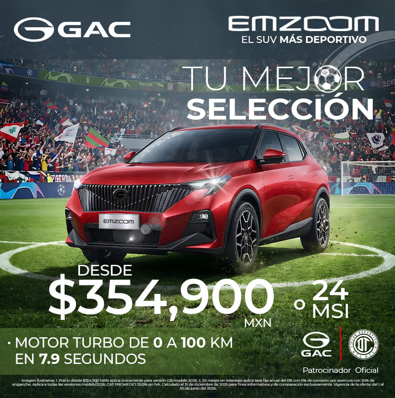 EMZOOM