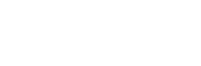 GS4 MAX