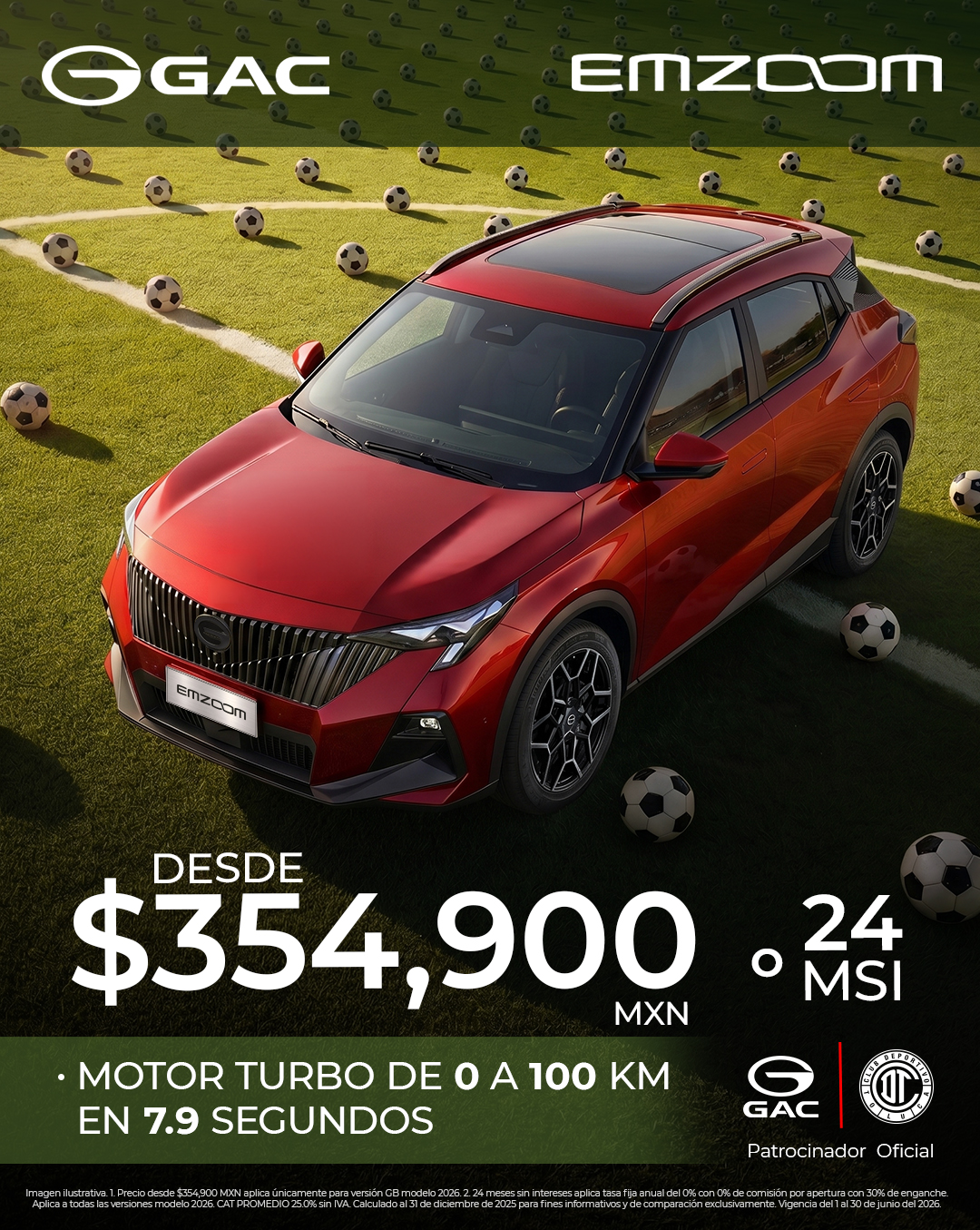 Promoción EMZOOM
